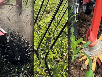 Image de Bineuse - Herse étrille - Houe rotative